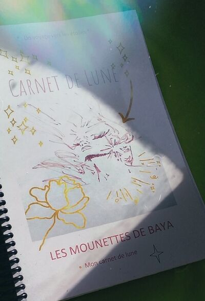 Mon carnet de lune