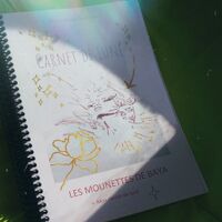 Mon carnet de lune